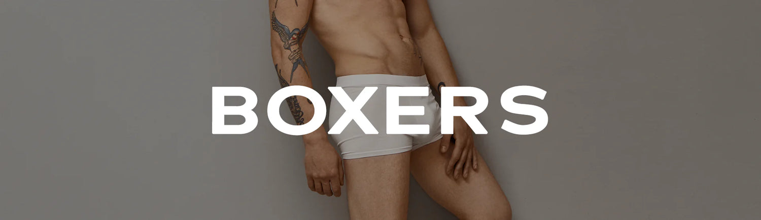 Boxer